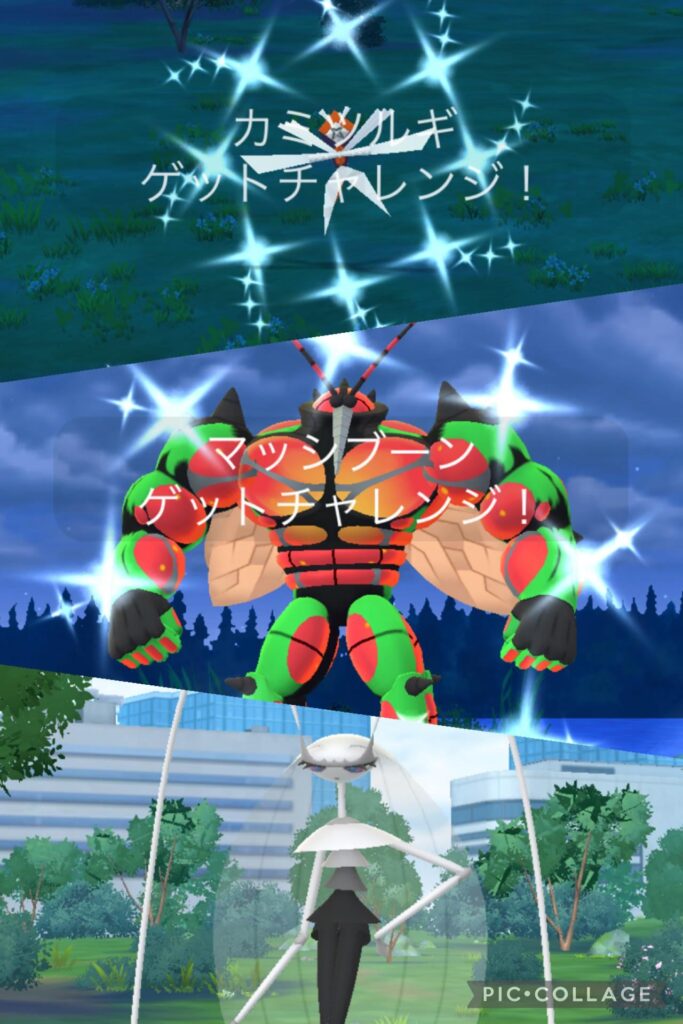 62km, 27hours, 72raids, 2 broken knees later...