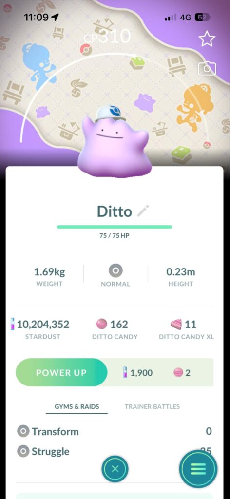 Ditto With Hats! 😍