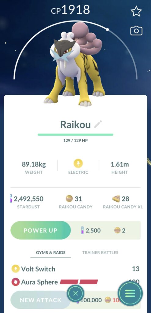 No BG for Go Pass Raikou ?