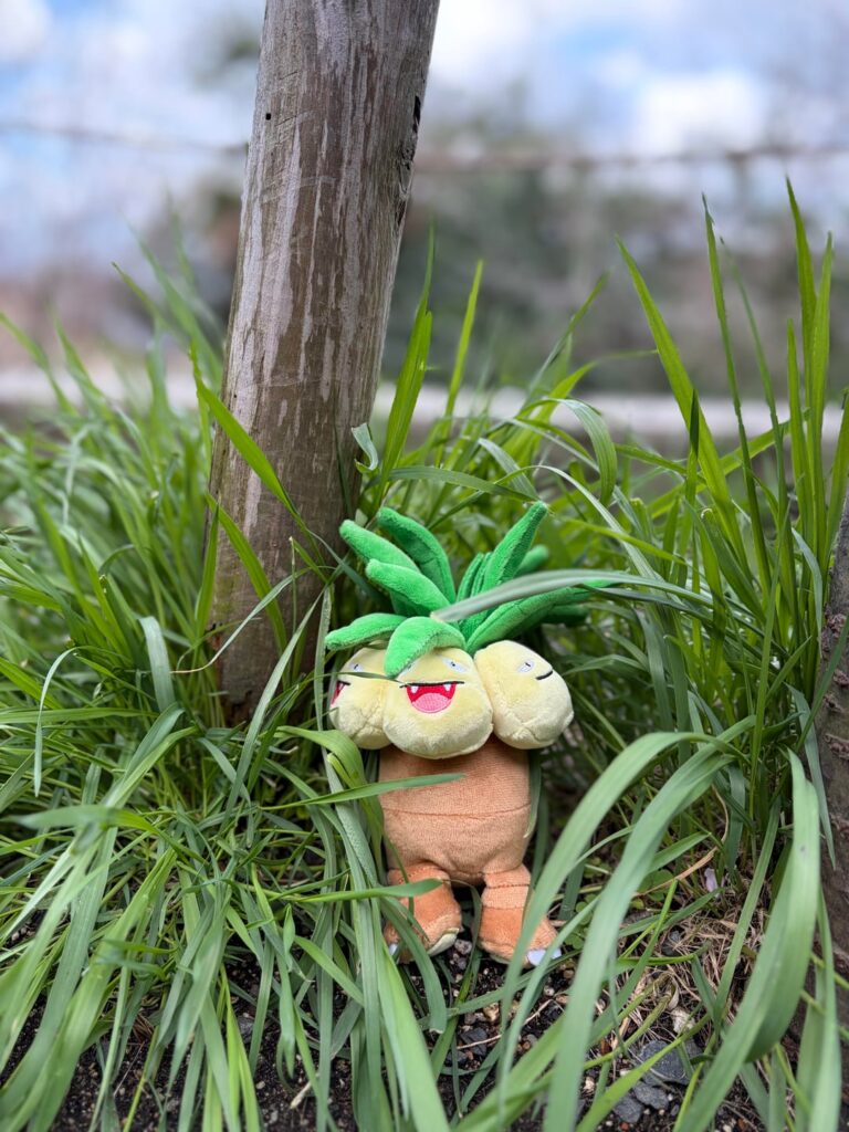 Right where I belong