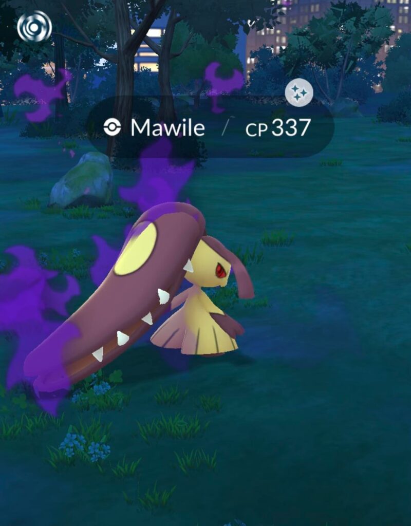 caught a shiny shadow Mawile 🤍