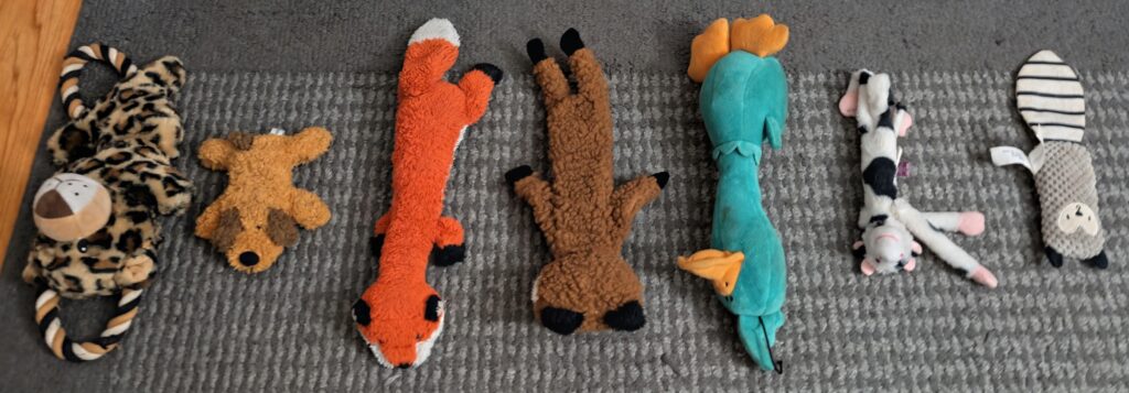 What are my dog's Pokemons?