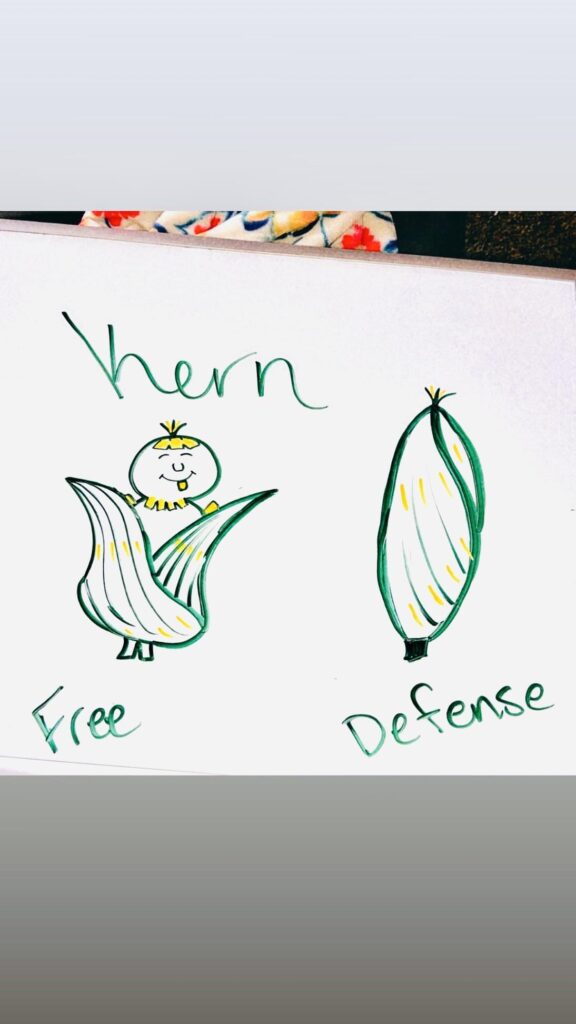 KERN. I know it’s on the simple side, but here is a Fakemon I did a quick drawing of.