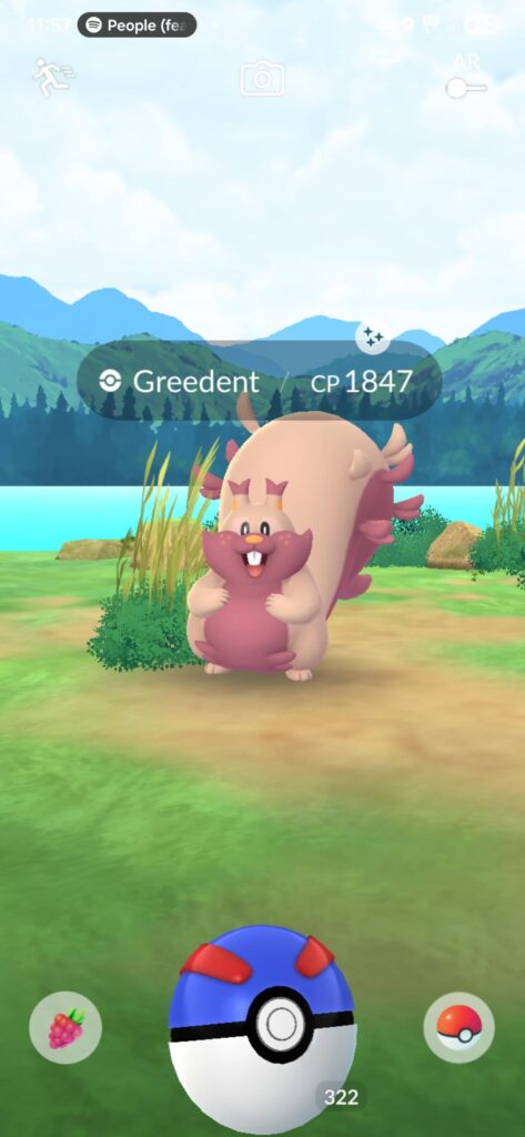 First wild shiny this week! Still need to Skwovet though