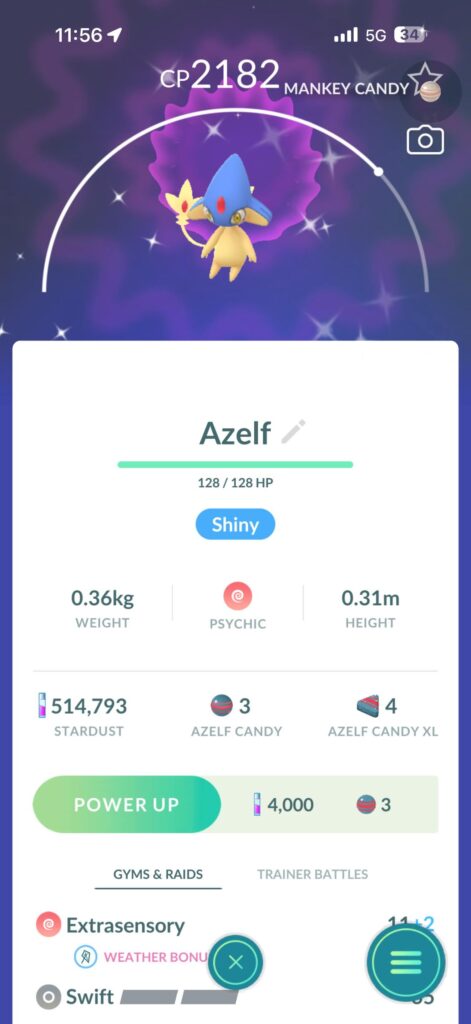 Midnight trip paid off!