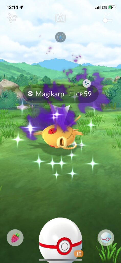 The search is finally over!!