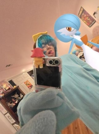 Editing my Pokémon wit Me