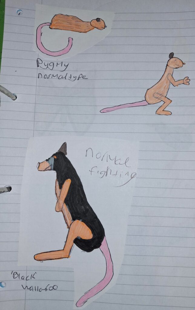 Unvaleing #Austalis #RevampedVersion #2023