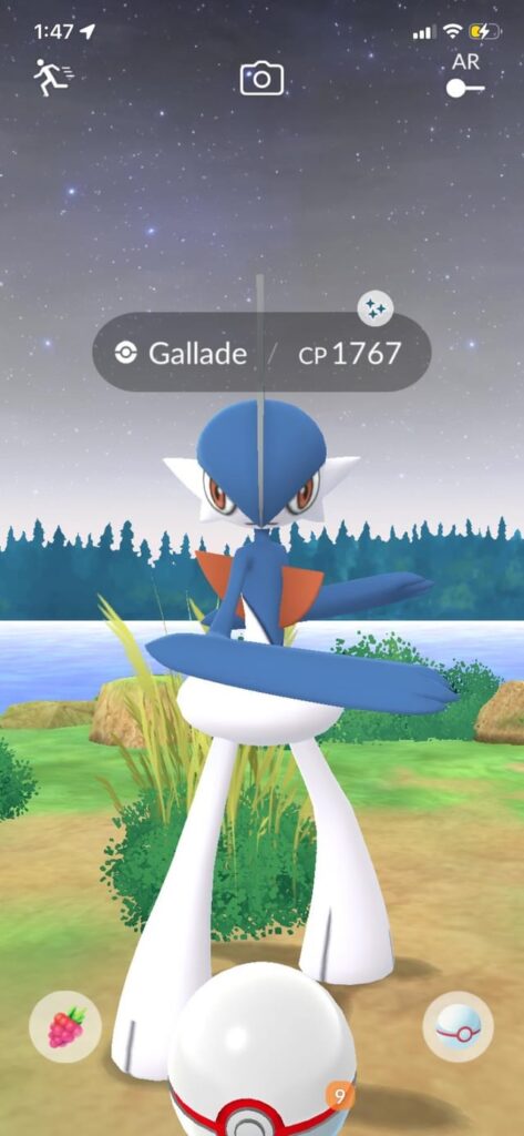 HOLYYYY this is the find of my life!