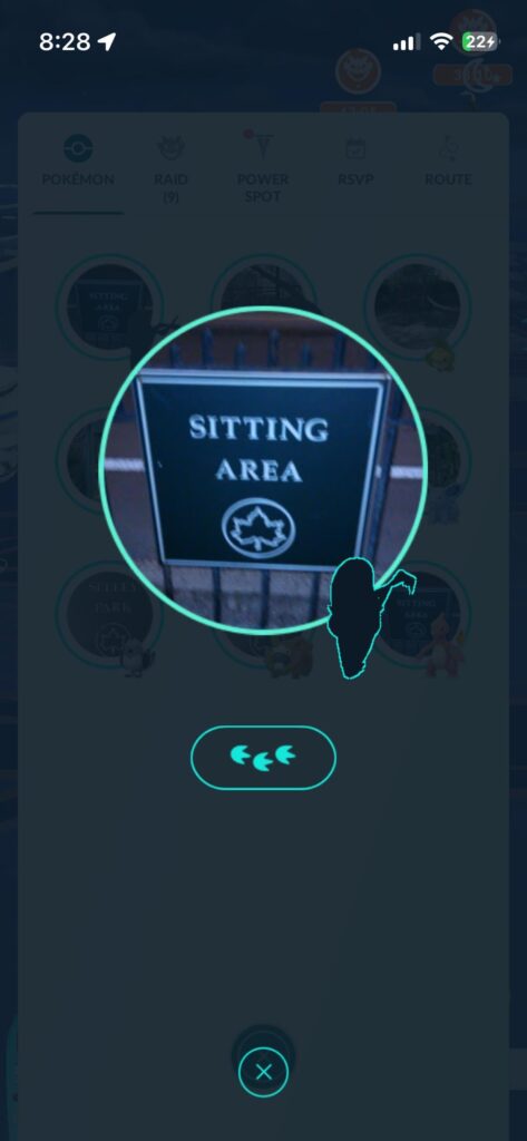 what pokémon is this?