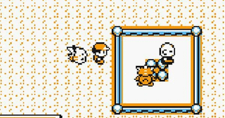 POKOPIA EASTER EGG: The Man and his Machop