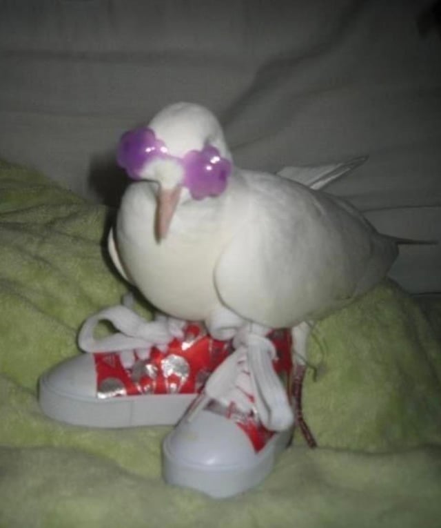 Saw this image, knew what I had to do [OC]