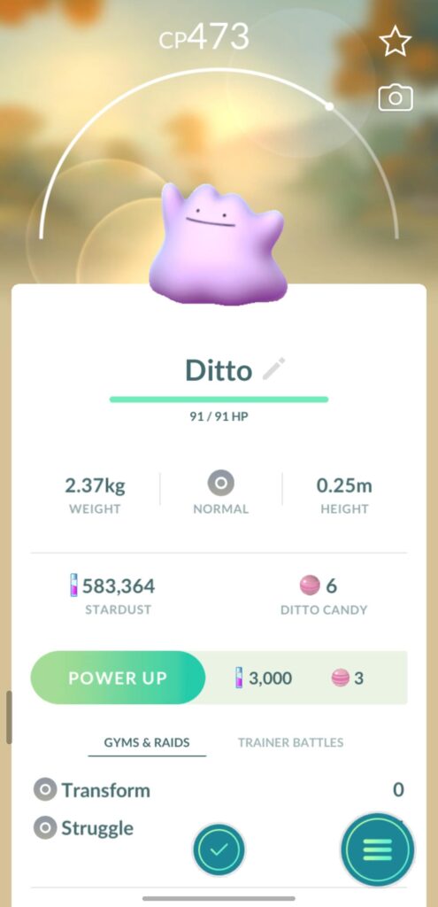 Finally!!! It's been months