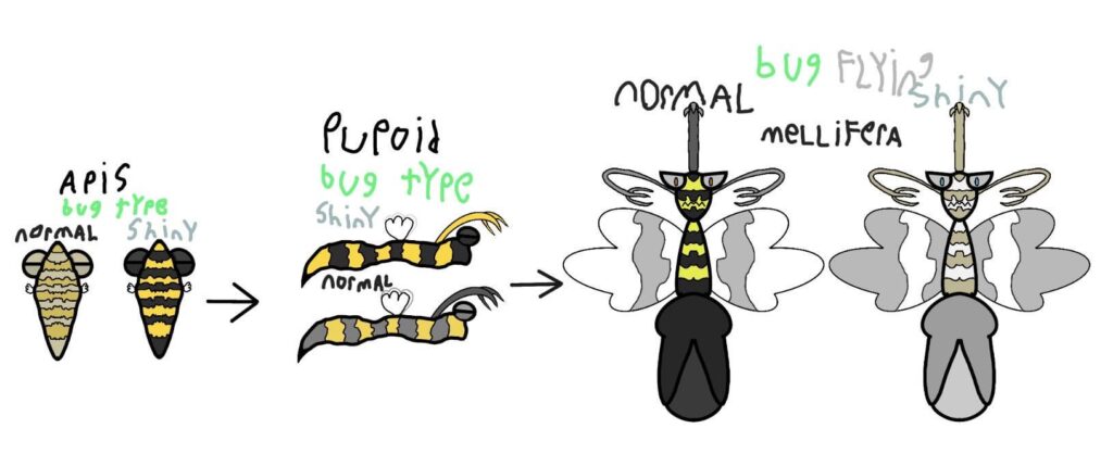 Finished my first fakemon OC