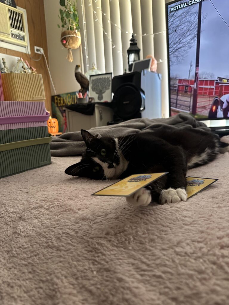 What do y’all do with your code cards?