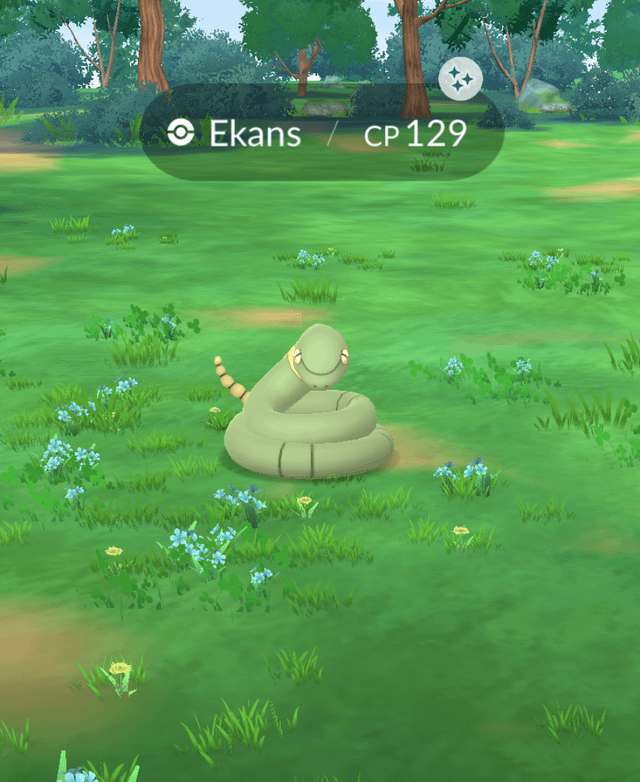 Just a shiny little snake