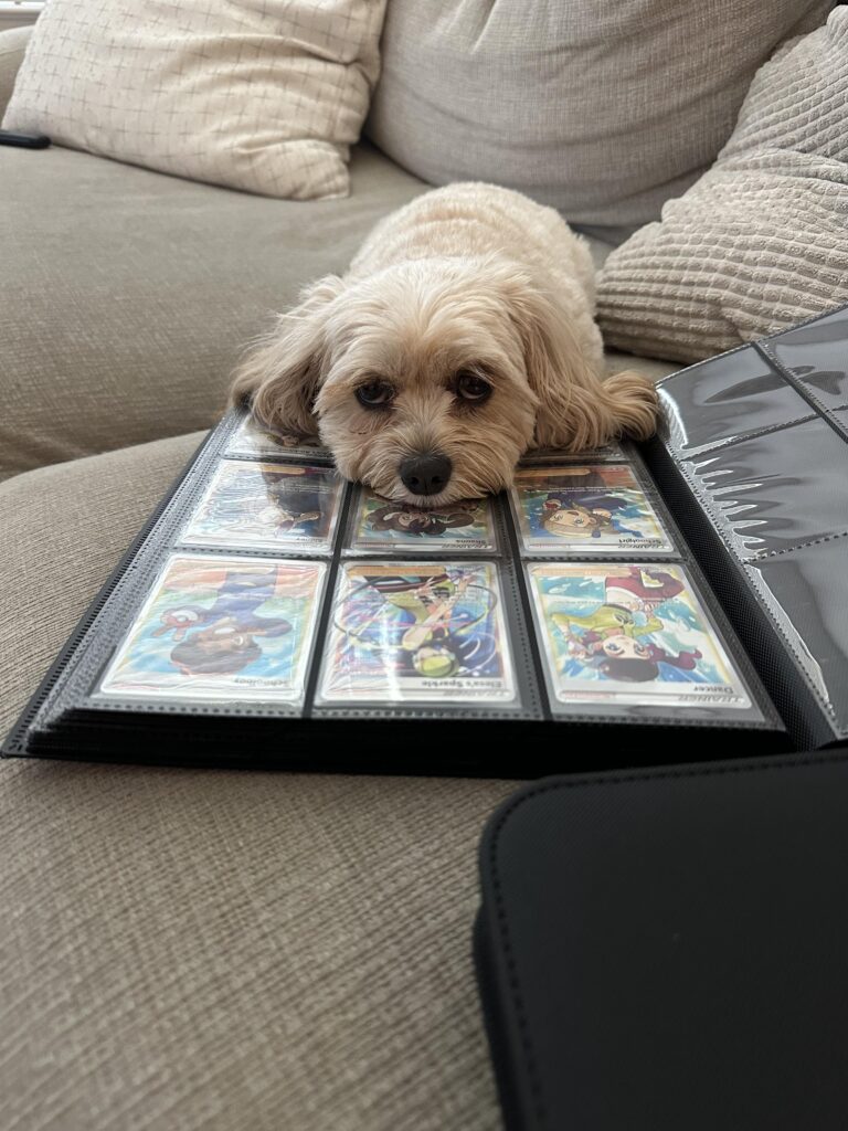 I was swapping binders to a Vaultx, went to get some water, and came back to this