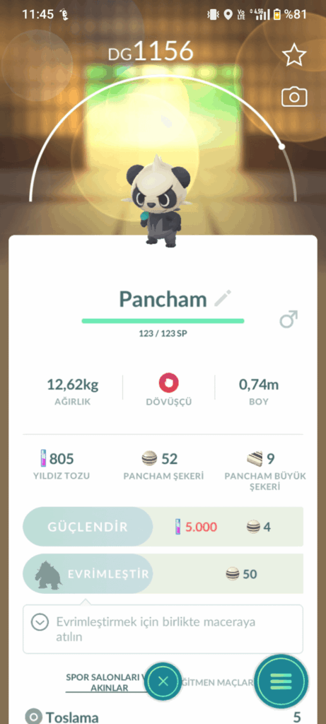 Which one should I evolve first?