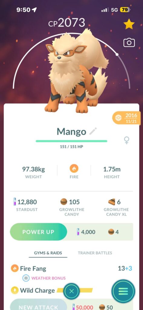 MY DOG MANGO IN THE GAME