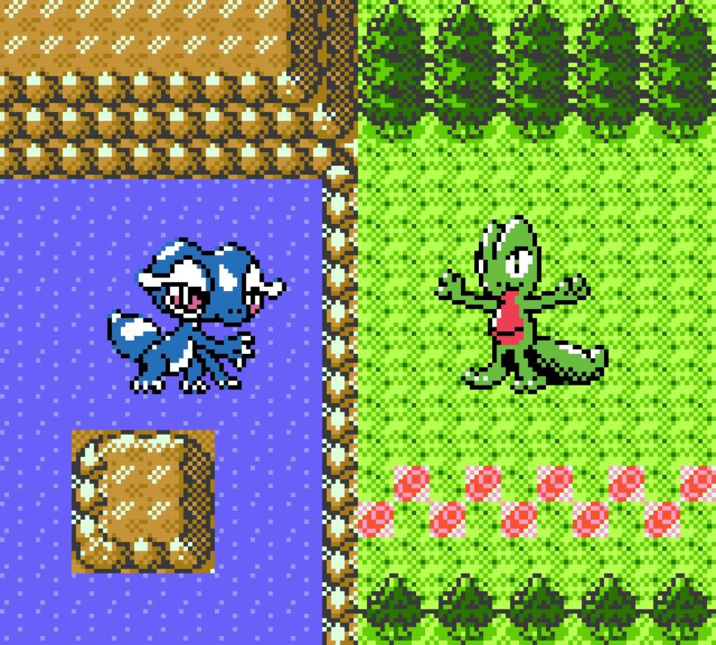 Gecko starters 💧🤝🌱