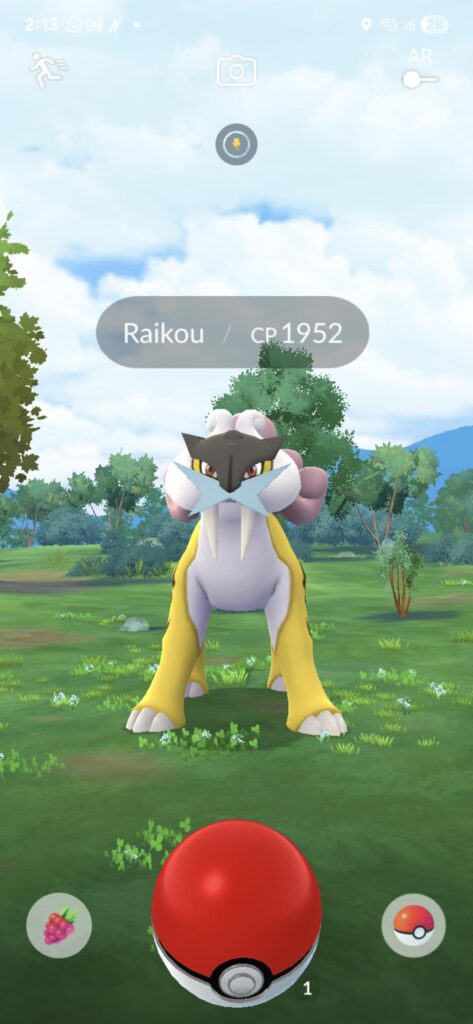 Why can't I catch raikou??