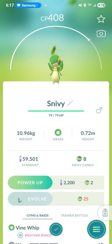 I hatched an Snivy