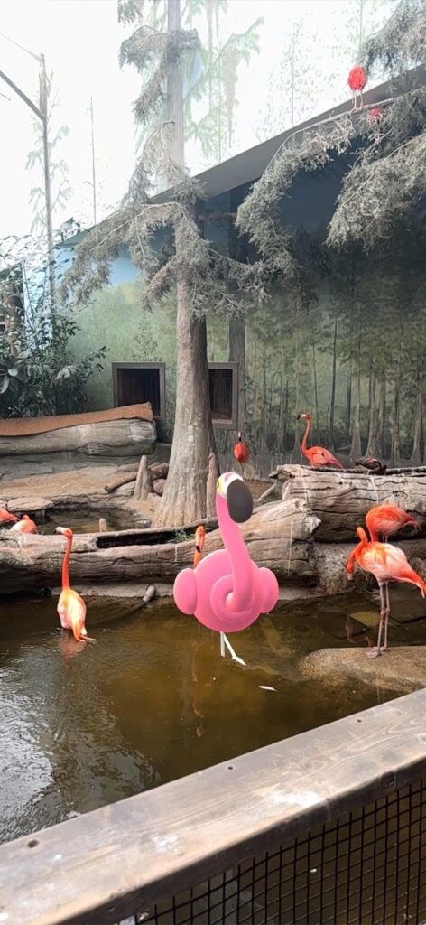 Some photos I took with my Pokémon and their real life counterparts