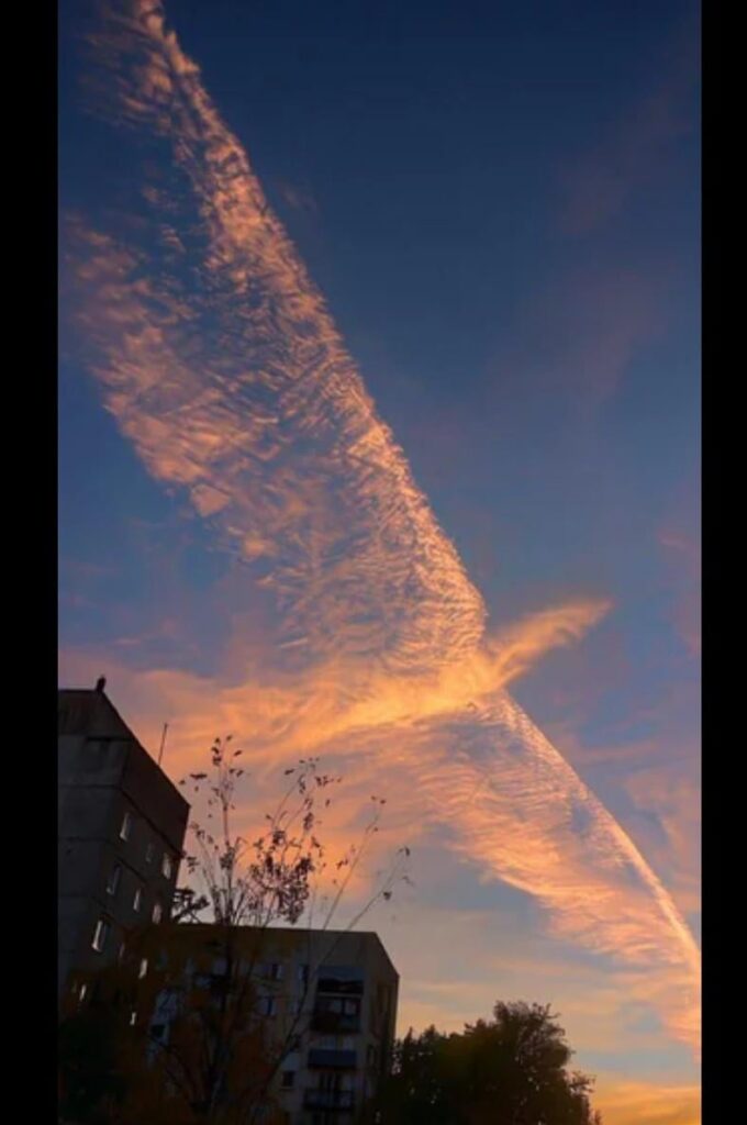 Battle Going On G - Max Wildfire