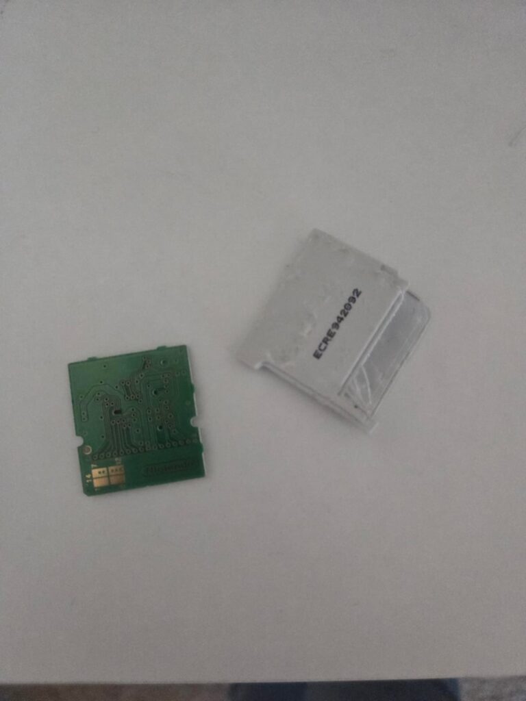 My dog ate my copy of Omega Ruby.