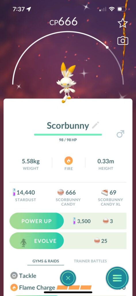 The Perfect Scorebunny