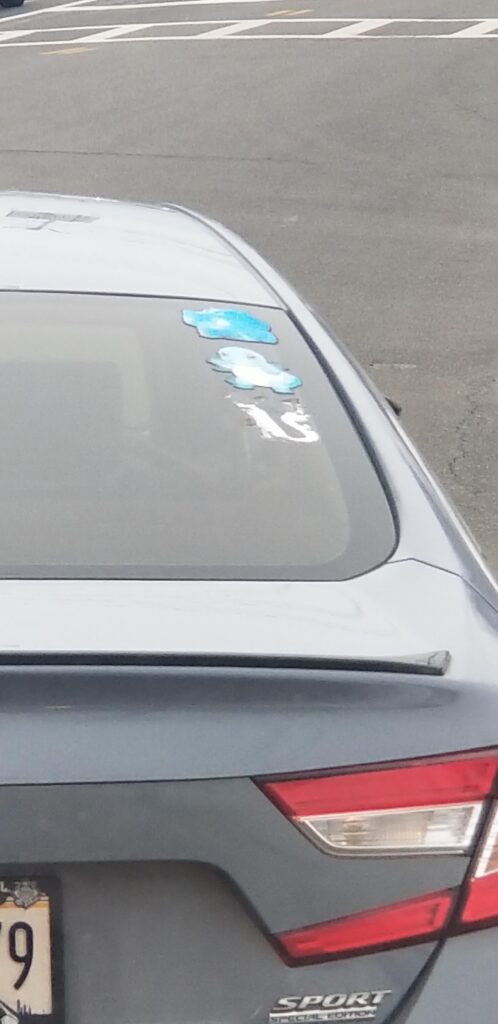 Where is charmander , is he safe?