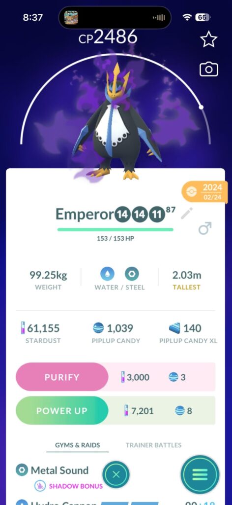 Baller Shadow UL team