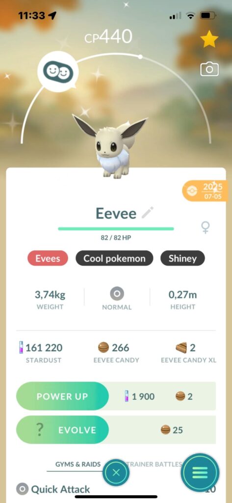 What should I evolve my shiny eevee to