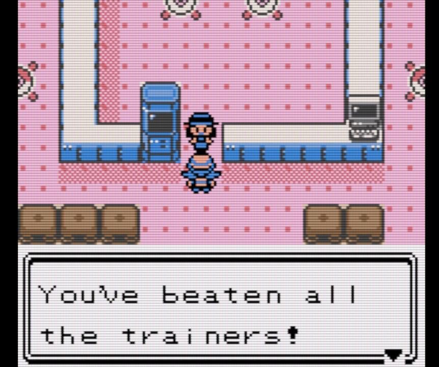 Finally I beat crystal's battle tower L100