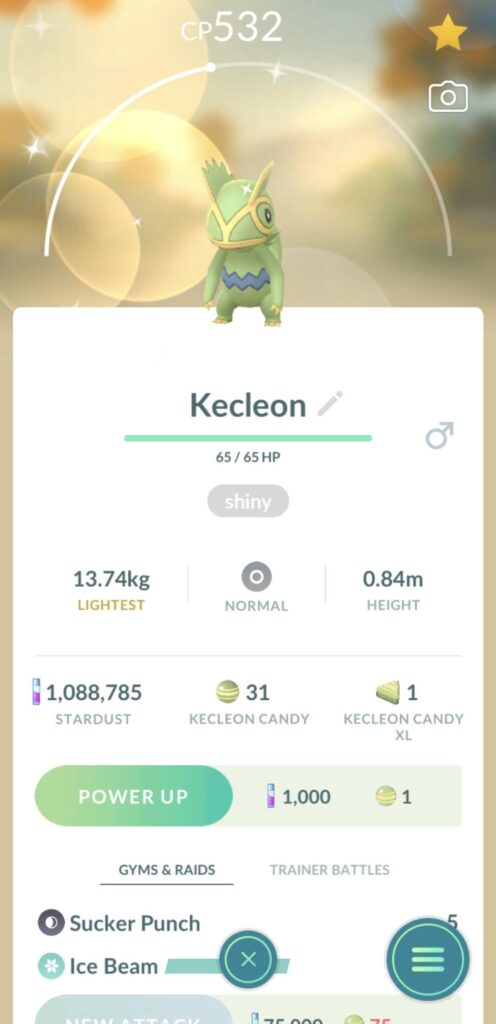 Is this a rare shiny?