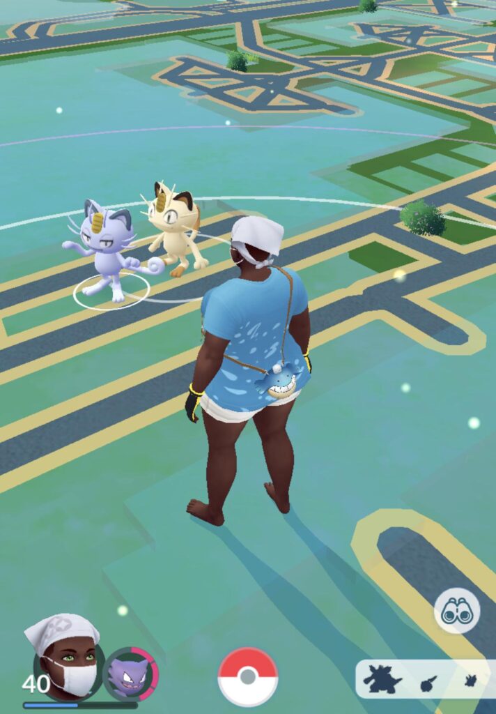 Kinda cool lol, both types of meowths just chillin with eachother