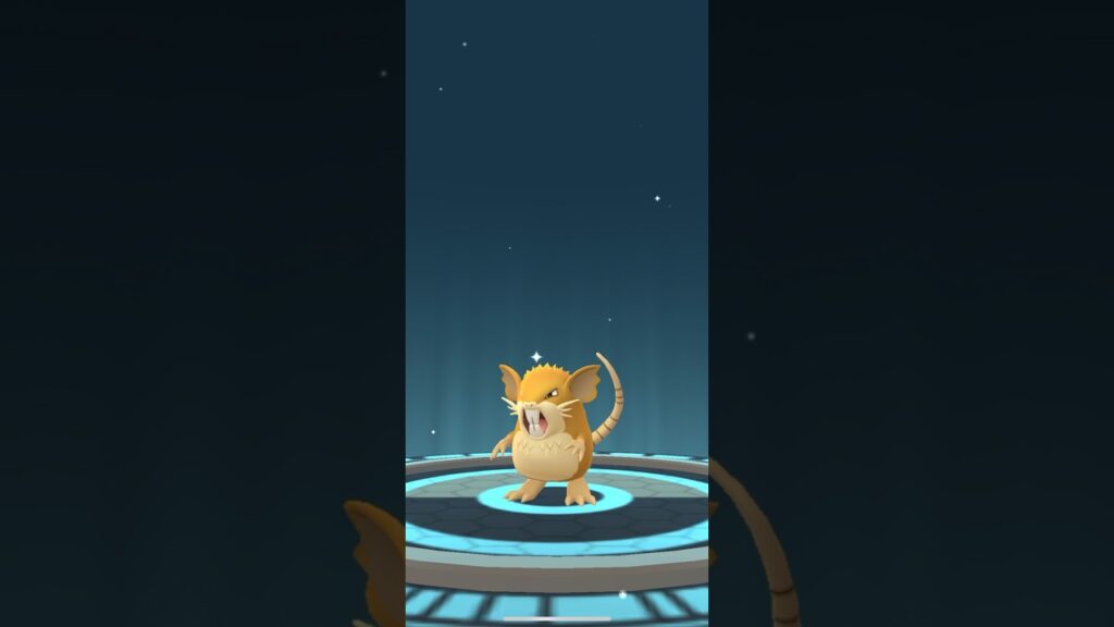 [Pokemon GO] Full Evolution Line of Rattata into Raticate #tiktokeffects #rattata #raticate