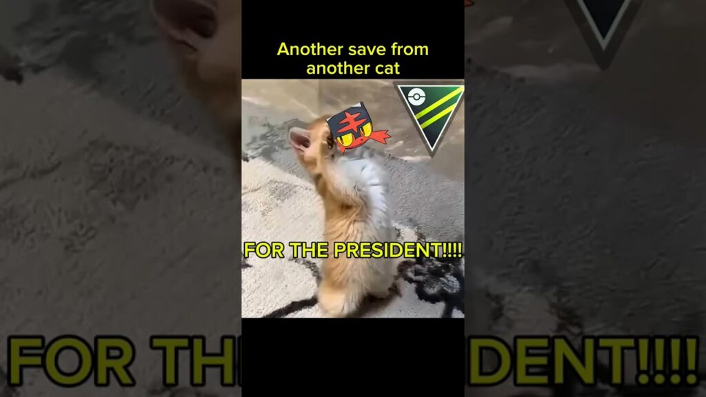 Another save from another cat! | Pokemon Go Great League clutch catch