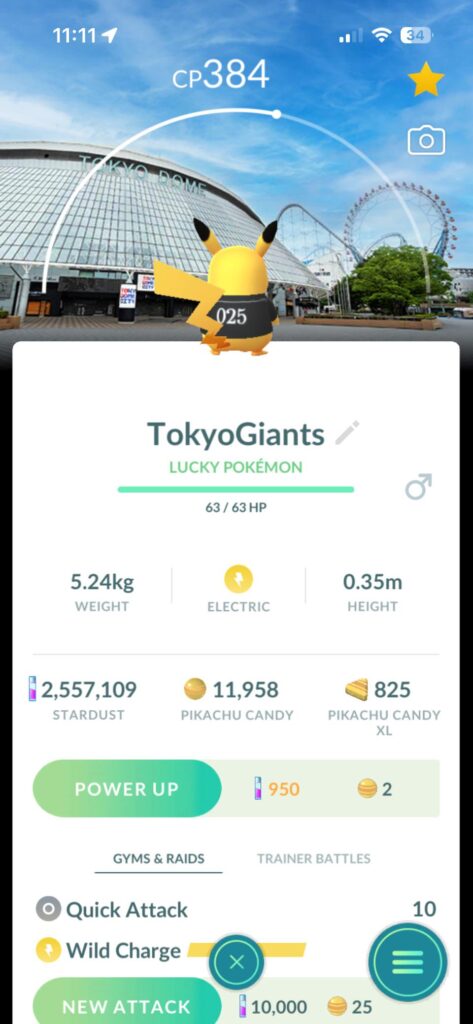 Fun detail for Japanese Baseball Pika