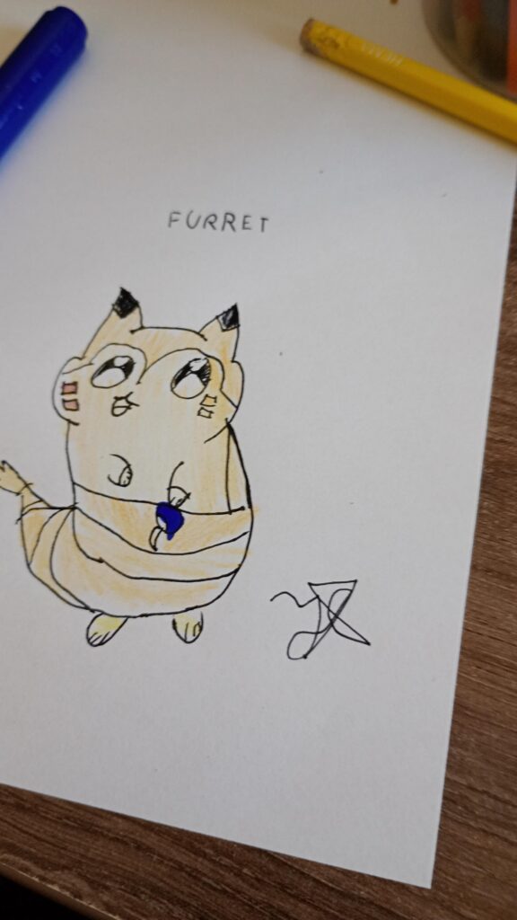 limited edition furret