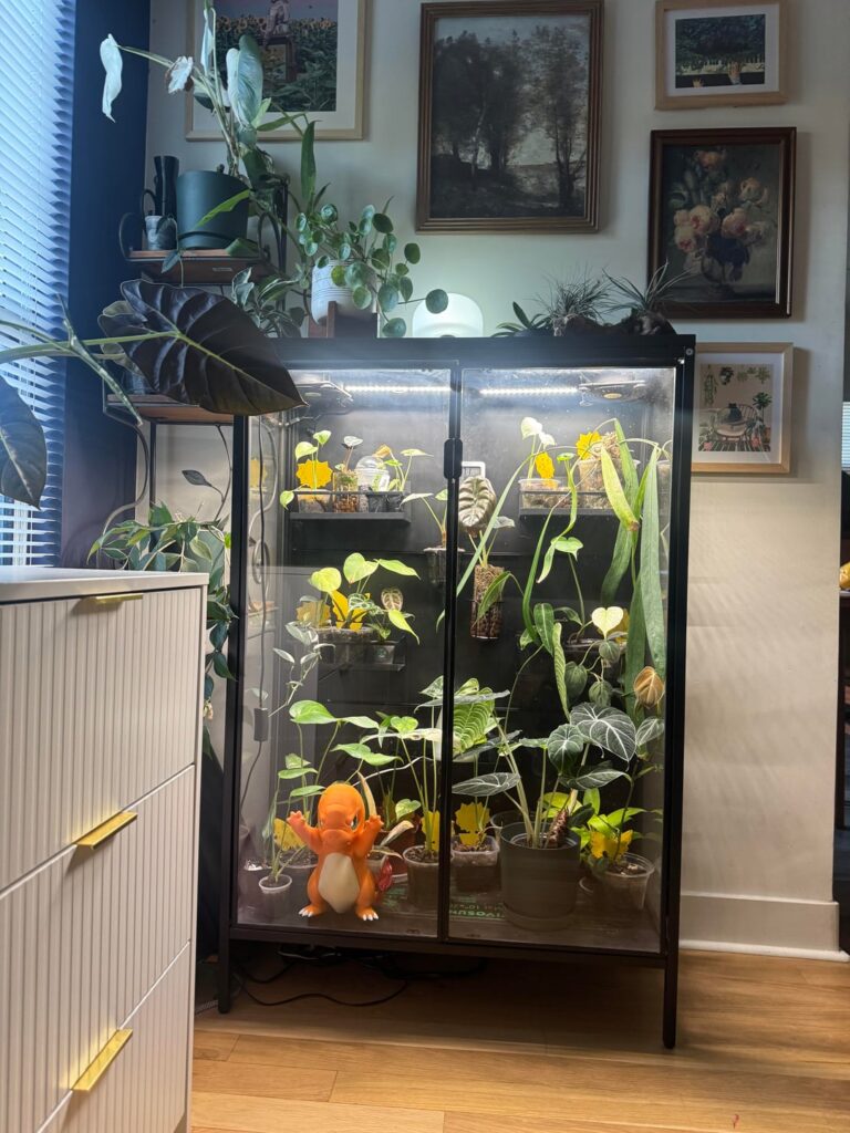 Mixing my two hobbies together