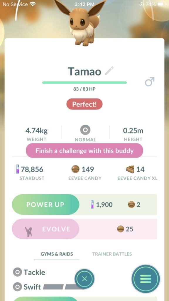 Eevee evolution bug