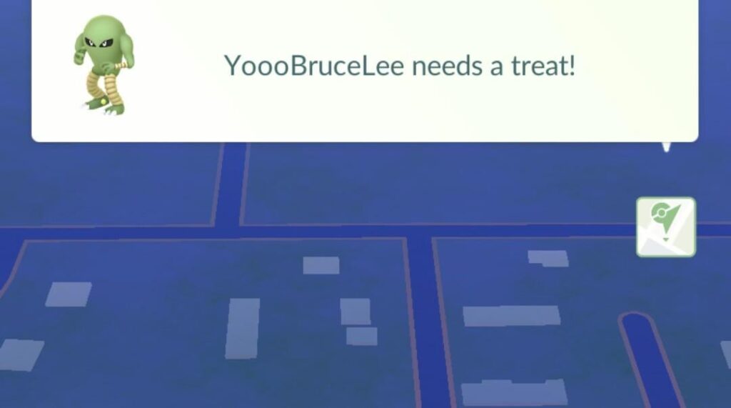 Nicknamed Pokémon
