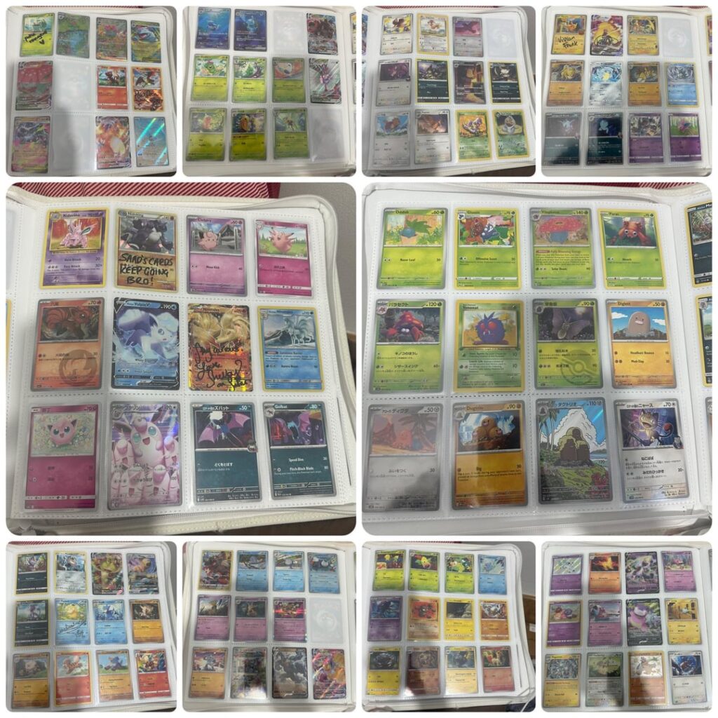 National Dex Binder Challenge (Update)