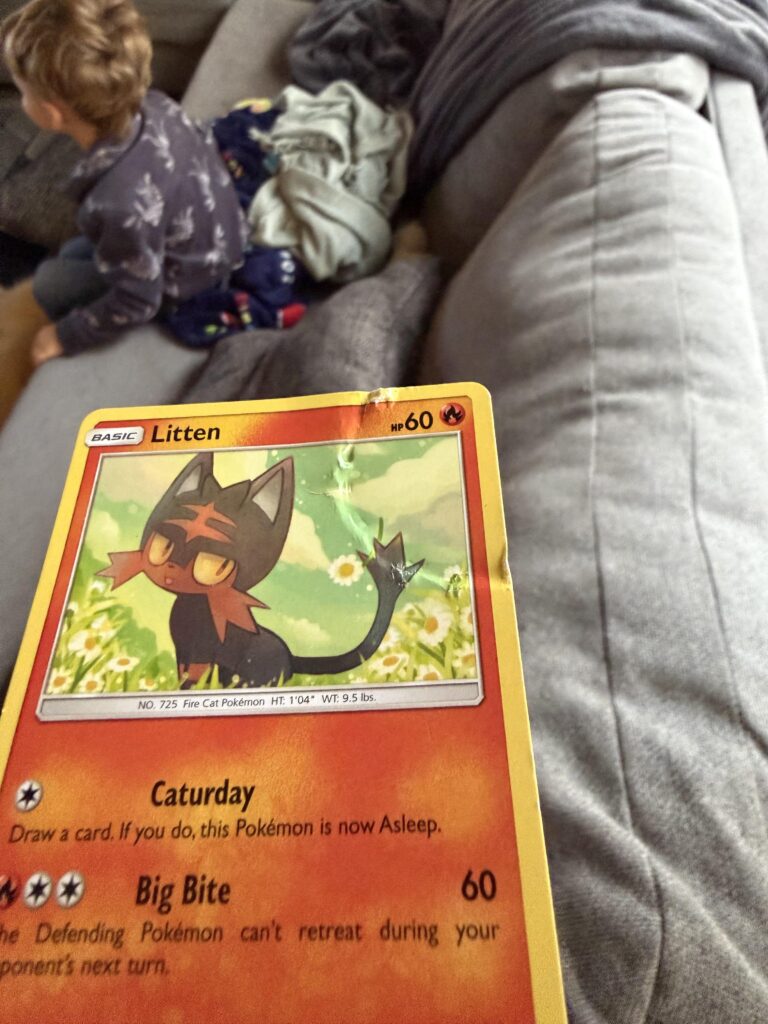 Looks like someone’s bitten their litten kitten