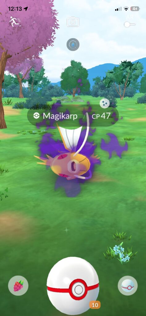Just caught this! my third ever shadow shiny!!! Thanks cliff 😁