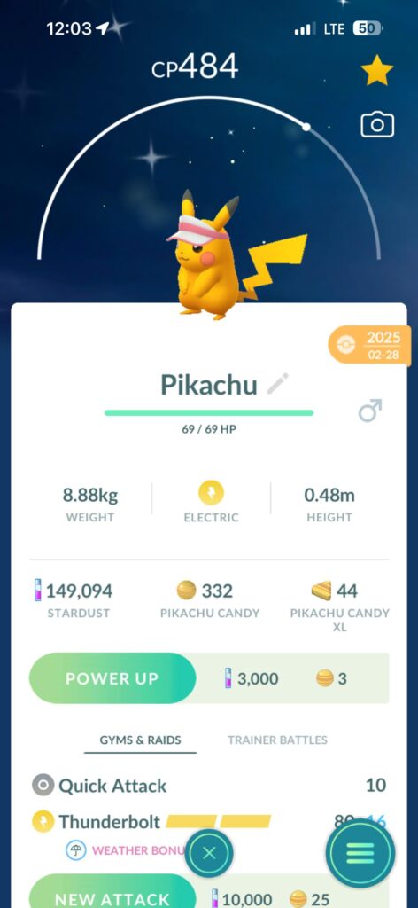 Why does my pika have a lil visor ?