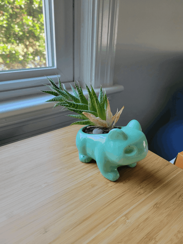 After being my desk buddy for 6 years, I decided it was time to let my Succusaur go. Thankfully, I made a new friend: Cactusaur