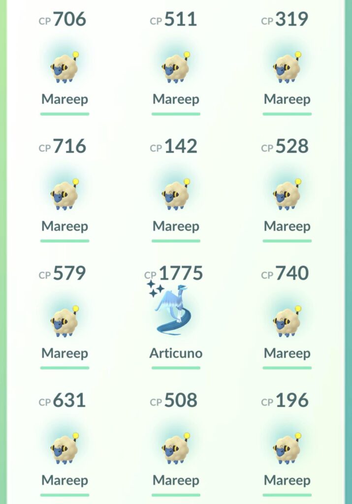 That’s a weird looking sheep…