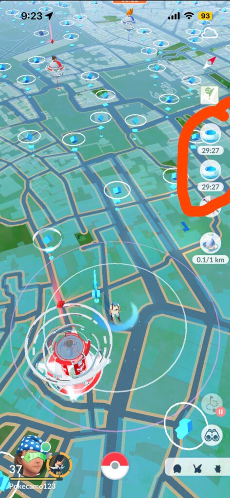 Double Daily Insense?!